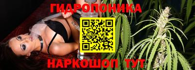 Альфа ПВП Кунгур