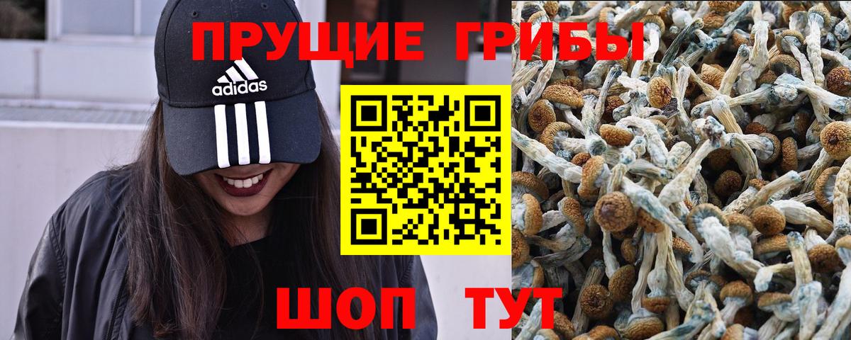 Галлюциногенные грибы мухоморы  Вход с VPN  Великий Устюг  Галлюциногенные грибы прущие грибы 